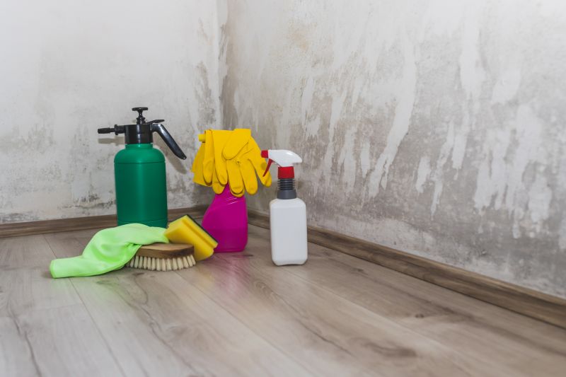 Attic Mold Removal in Broward County, FL