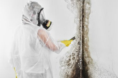 Basement Mold Removal in Fort Worth, TX