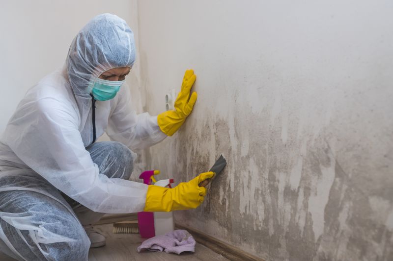 Crawl Space Mold Removal in Bergen County, NJ