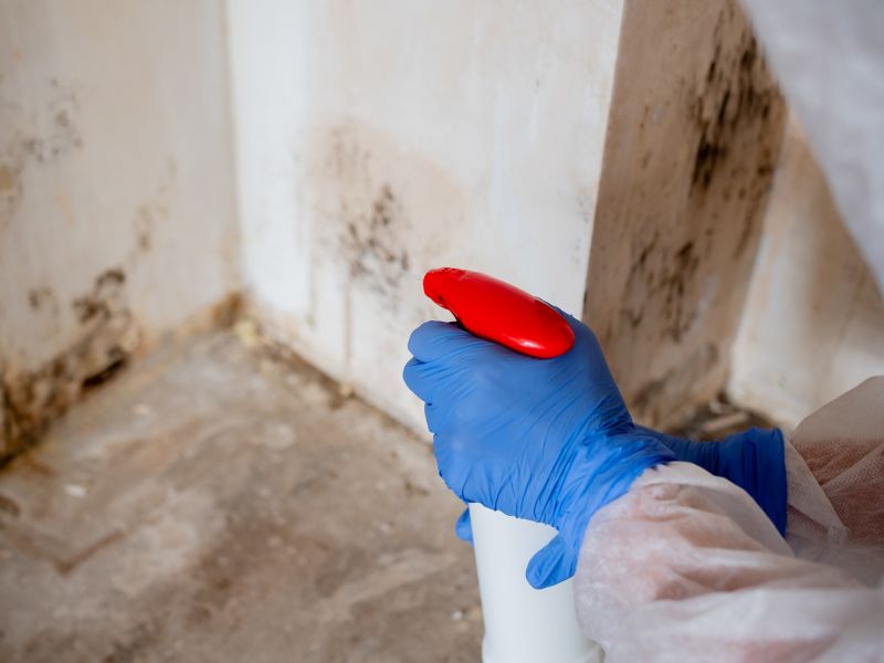 Mold Removal in Fort Lauderdale, FL