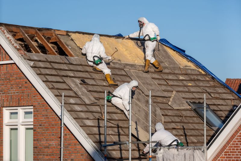 Professional Asbestos Removal Team