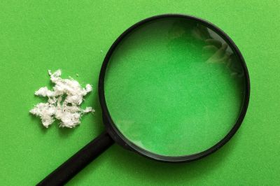 Tools You Actually Need