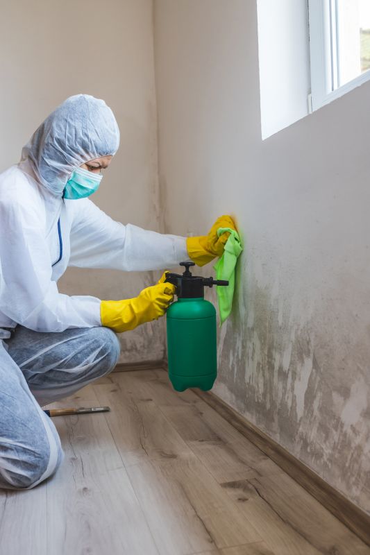 Crawlspace Mold Remediation in Bergen County, NJ