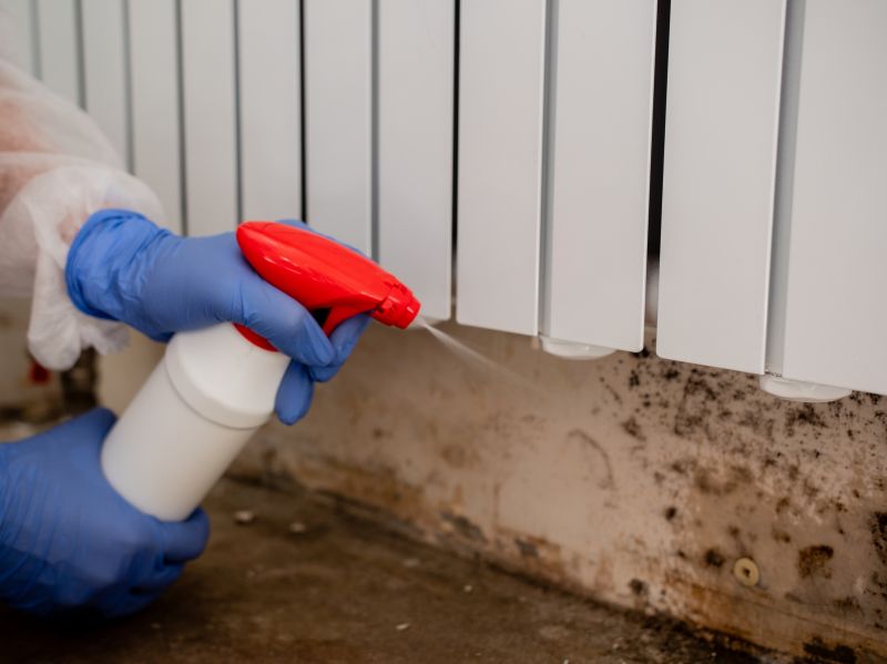 Garage Mold Remediation in Fort Lauderdale, FL