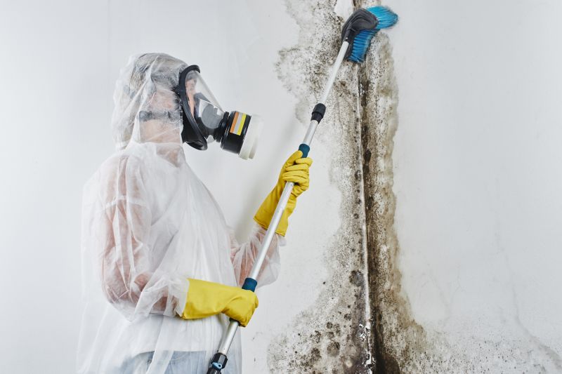 Mold Mitigation Service in Boca Raton, FL