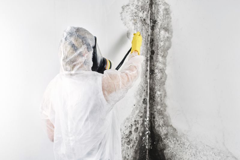 Mold Mitigation Service in Fort Worth, TX