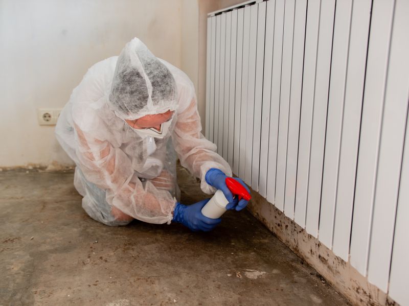 Mold Removal in Jupiter, FL